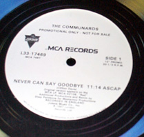 Never Can 12inch MCA Promo